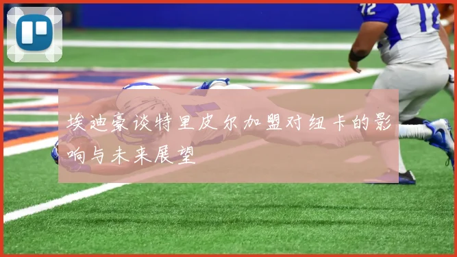 埃迪豪谈特里皮尔加盟对纽卡的影响与未来展望